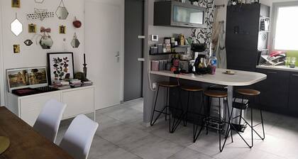 Maison avec jardin dans le centre de Dijon