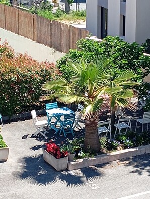 An outdoor seating area with a palm tree, chairs, and a table.