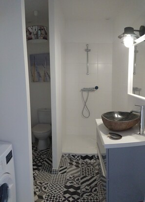 Shower, towels, toilet paper