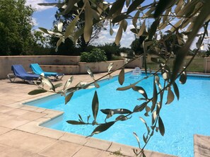 Outdoor pool - Spacious room with swimming pool (Toulouse-Albi) # 1 (Lisle-sur-Tarn)