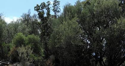 Villa type méditerranéenne