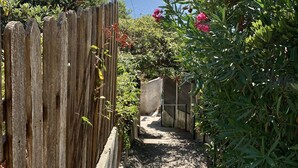 A narrow pathway flanked by a wooden fence and lush greenery, leading to a concrete wall and a view of the sea. - Maison pieds dans l'eau, vue mer dans une calanque 83220 Le PRADET ( Var) (Le Pradet)