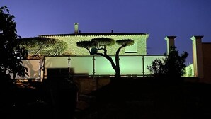 Ein Gebäude mit markanter Dachlinie und einem Baum davor.