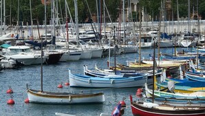 Un port de plaisance où sont amarrés différents types de bateaux.