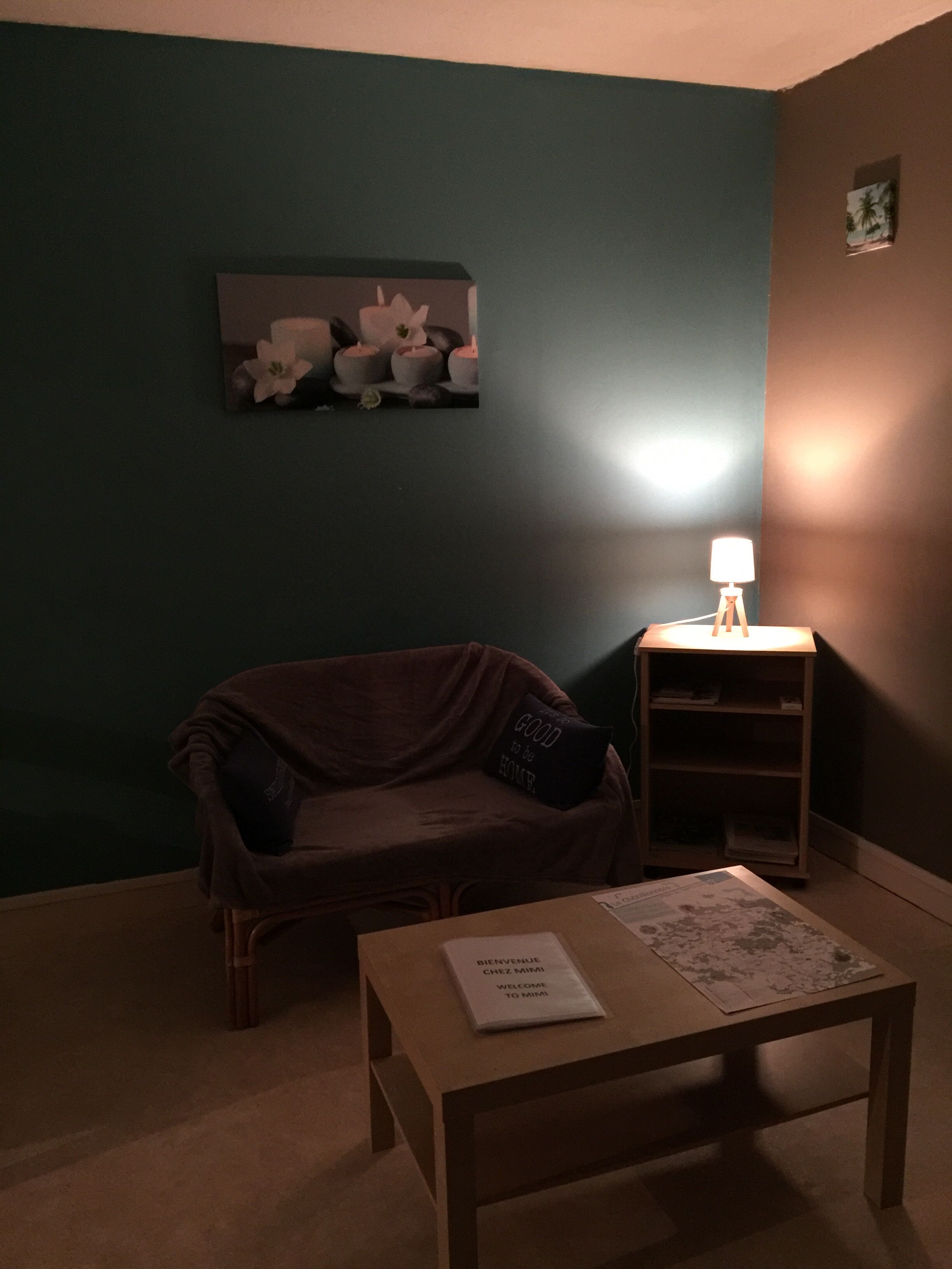 Télévision, lecteur de DVD, livres