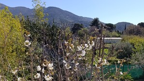 A garden with flowering trees and a view of distant mountains. - House with private pool and garden (Nyons)