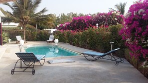 Pool - Residence TROPICAL PARC.  Beautiful Villa with Pool (SALY)
