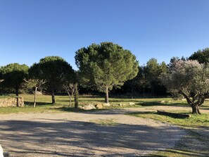 Jardines del alojamiento