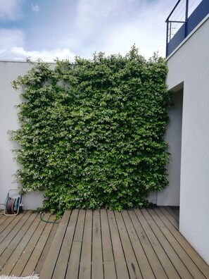 Terrace/patio - Contemporary house with pool (Jacou)