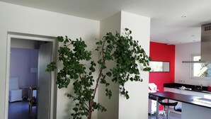 Una cuina moderna amb una paret vermella d'accent, una planta en test i una zona de menjador amb tamborets.