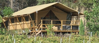 Lodges "Syrah" ****************************
