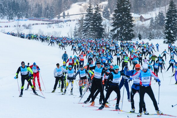 A large group of people skiing in a snowy landscape.