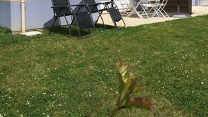 Una casa gialla con tetto rosso, un patio con sedie e un ombrellone, e un prato verde.