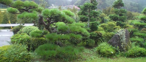 Jardin