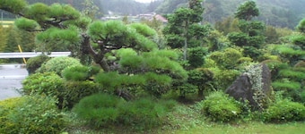 Kakinouen