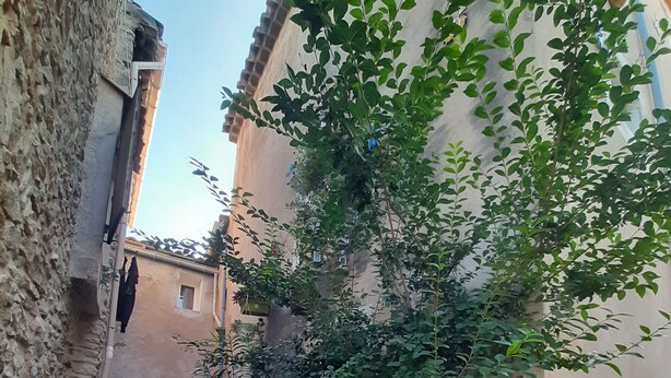 A narrow alleyway with a potted plant, stone walls, and a building with a window. - Apartment 100 refurbished !!!! 07/2019 !!!! 35 M2 (3 beds)   (Bourg-Saint-Andéol)