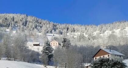Duplex avec vue au centre de Bussang