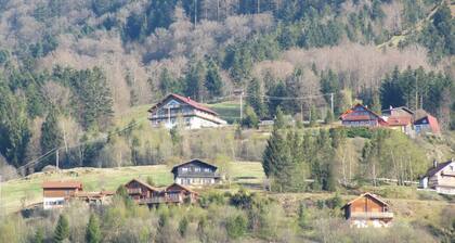 Duplex avec vue au centre de Bussang