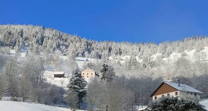 Duplex avec vue au centre de Bussang