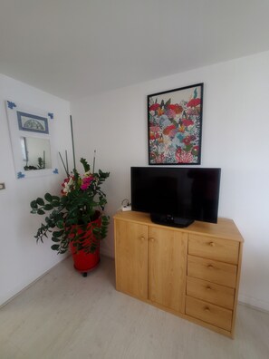 A room with a wooden cabinet, a flat-screen TV, a potted plant, a framed picture, and a mirror on the wall. - Meublé de tourisme ** "chezphoenixette (Nieuil)