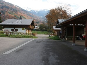 Property grounds - Savoyard chalet LE CRIOU (SAMOENS)