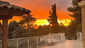 Una terraza con barandilla, planta en maceta y vista a árboles y un atardecer.