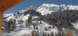 رياضات التزحلق على الجليد والماء