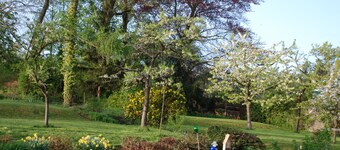 Papaveri - Bella accogliente casetta sulla Strada del Vino