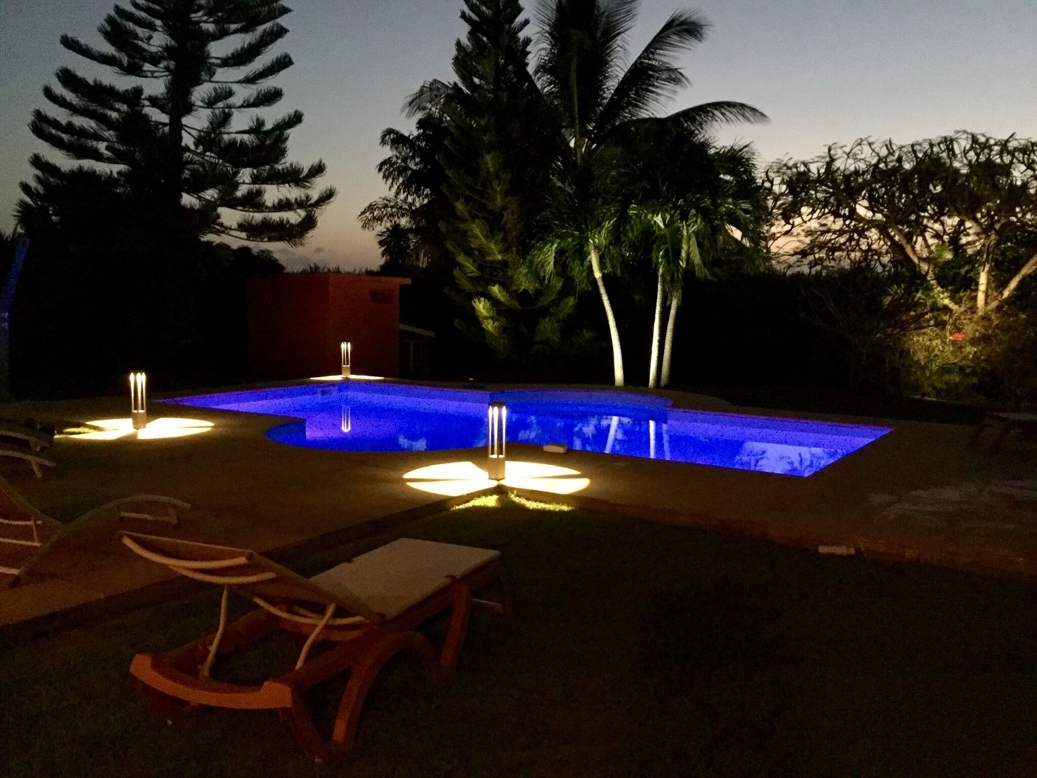 A swimming pool with a geometric shape, surrounded by palm trees and a wooden deck with lounge chairs.