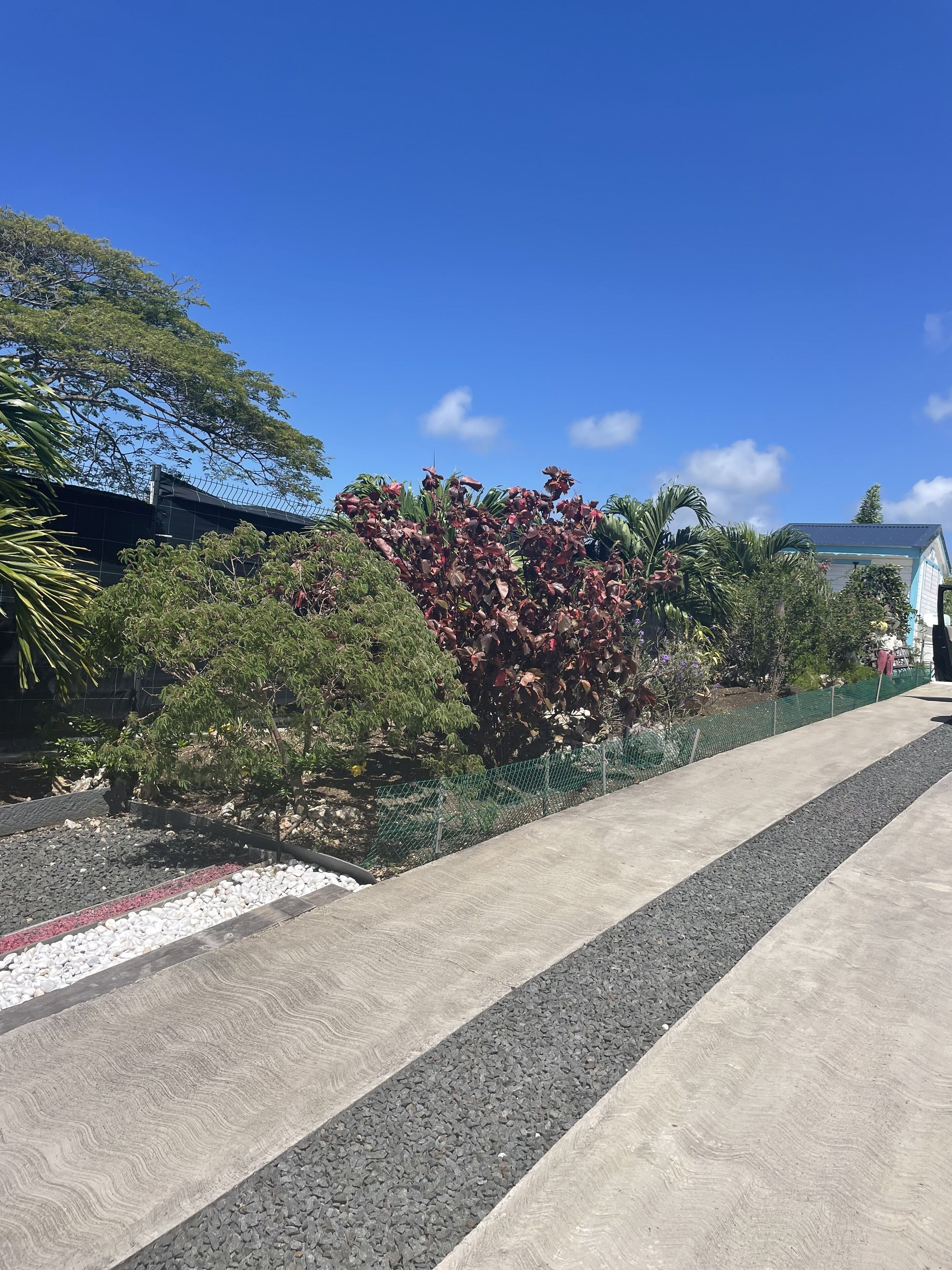 A pathway lined with gravel and a variety of plants, leading to a building with a blue roof.