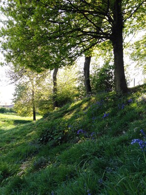 Property grounds - Welcome to "La Ferme des Tilleuls" (Courset)
