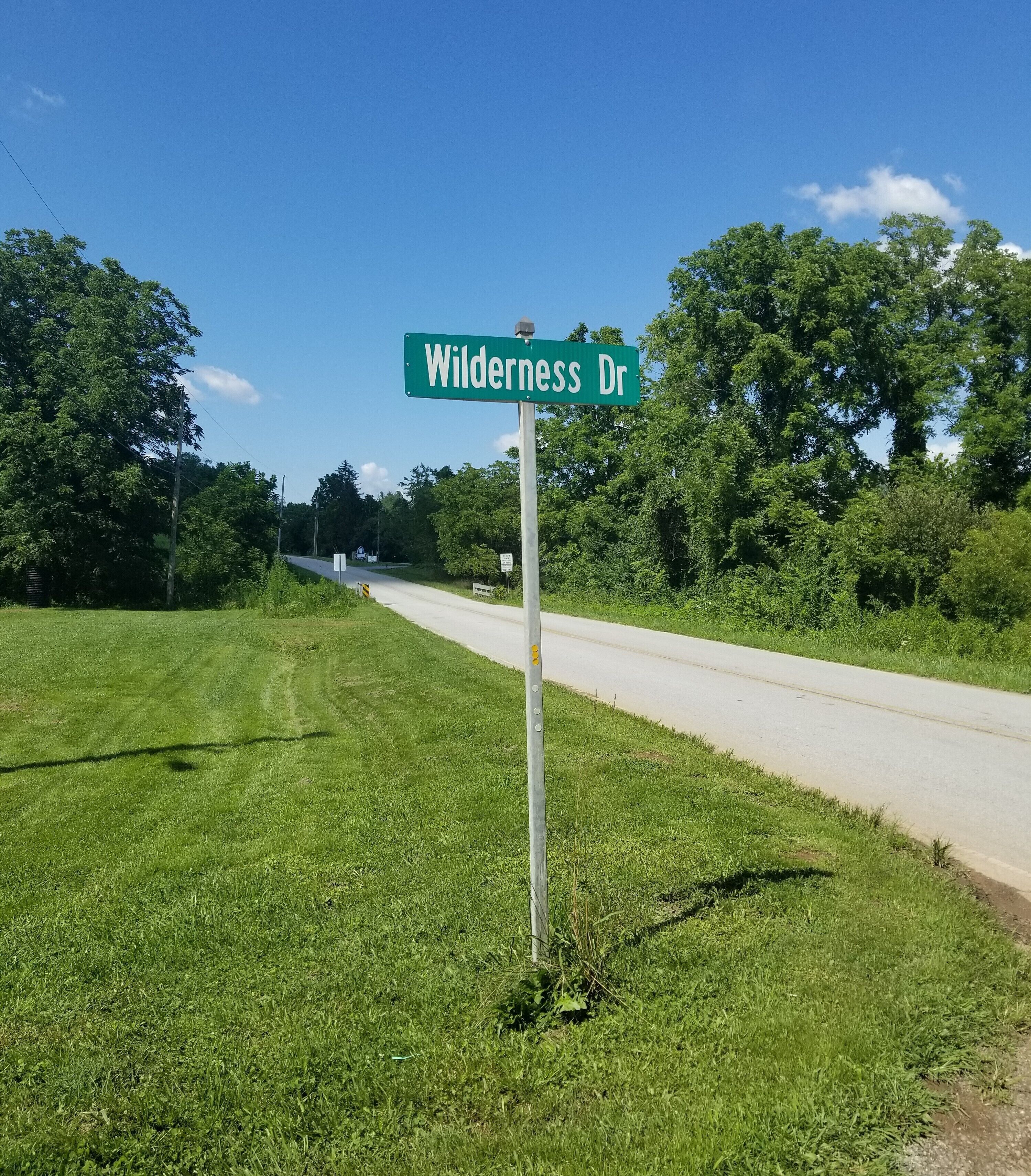 A street sign for 'Wilderness Dr' with a road curving ahead, surrounded by greenery and trees.