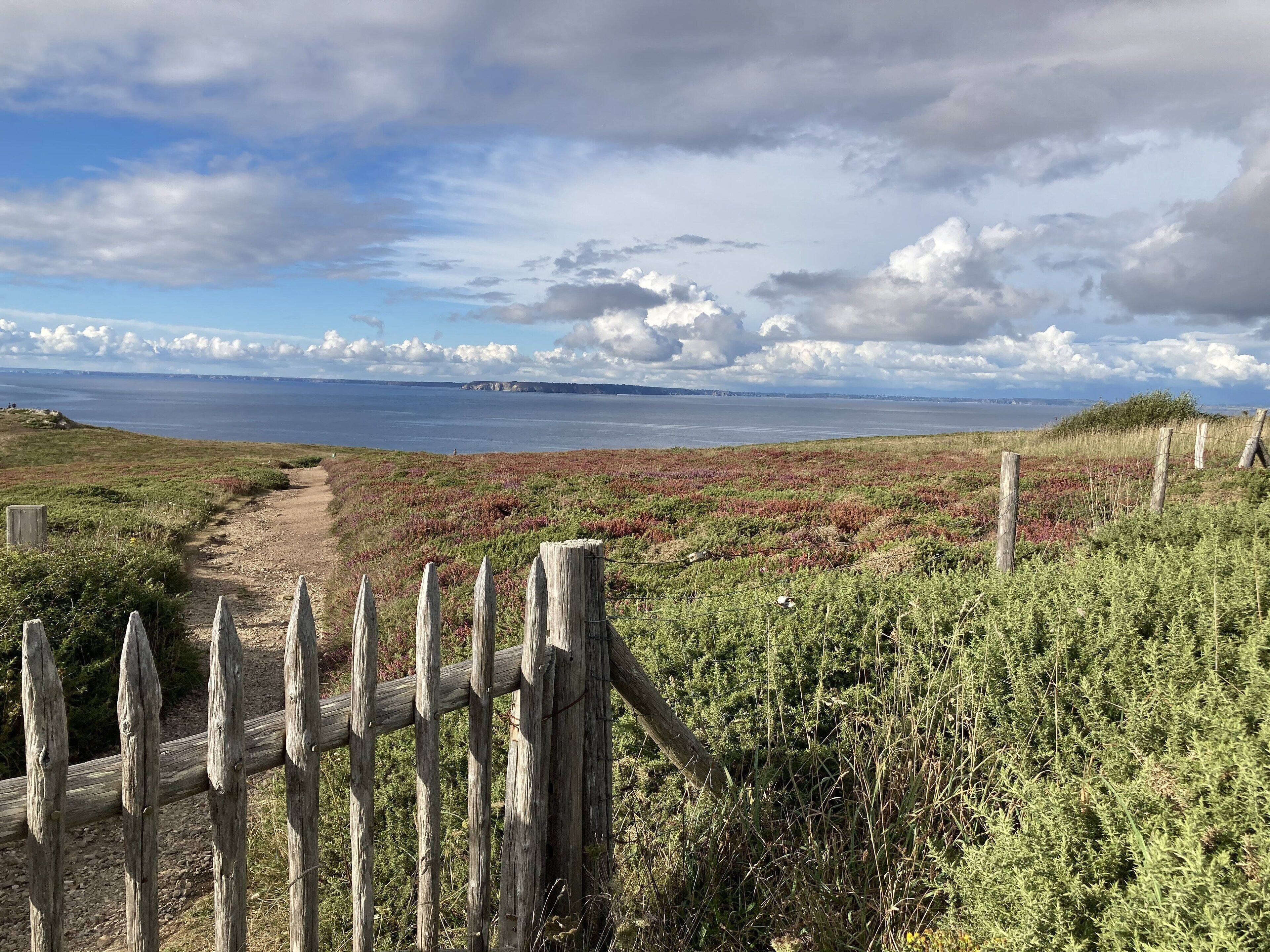 A coastal landscape with a dirt path leading to the sea, surrounded by vegetation and a wooden fence.