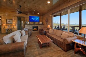 Tv, pejs, videospil, dvd-afspiller