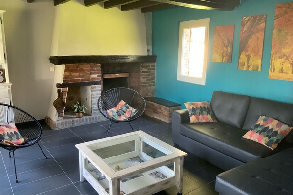 TV, fireplace, video games, DVD player