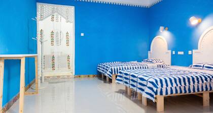 New Dap Hostel in Grape Town