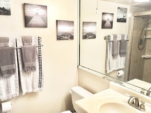 Combined shower/bathtub, towels, soap, toilet paper - Oceanfront - Amazing Views!!! (New Smyrna Beach)