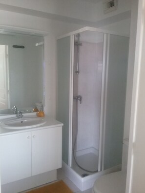 Shower, hair dryer, towels, soap - Apartment T1 bis St Goustan (Auray)