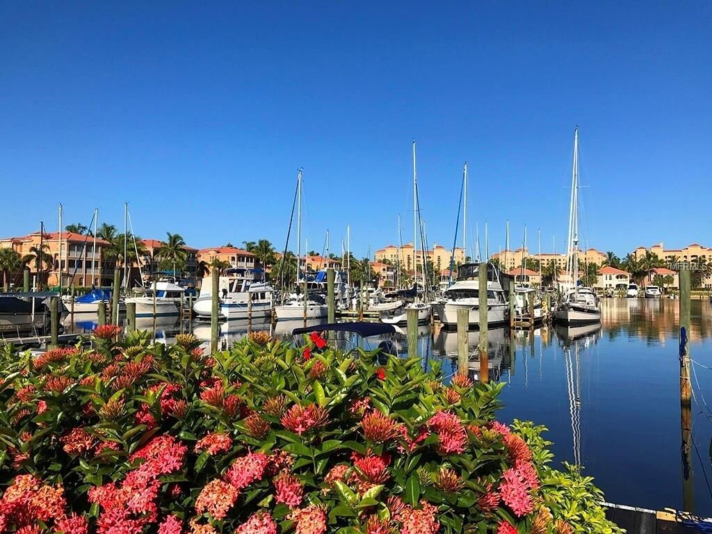Un port de plaisance où sont amarrés de nombreux bateaux, entouré de bâtiments et de palmiers.