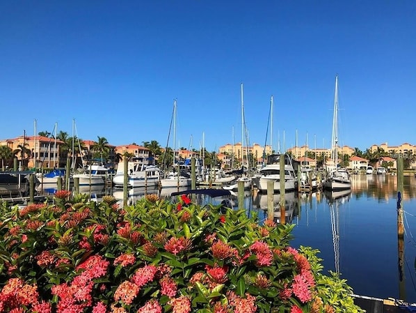 Un port de plaisance où sont amarrés de nombreux bateaux, entouré de bâtiments et de palmiers.