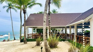 Un bâtiment situé en bord de mer, doté d’un patio couvert, de palmiers et offrant une vue sur l’océan.