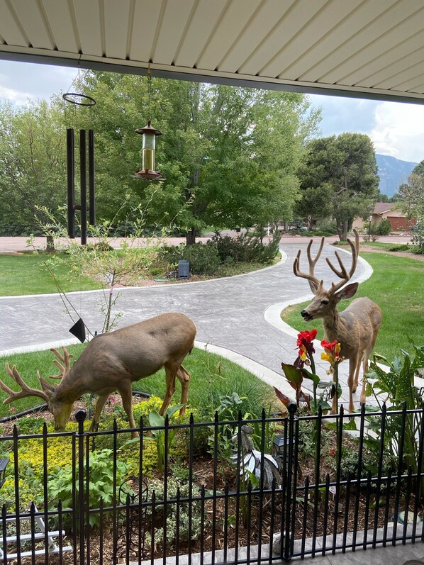 Áreas de la propiedad