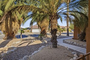 A residential area with palm trees, a gravel pathway, and houses.
