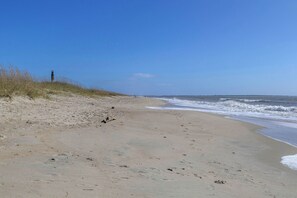 On the beach