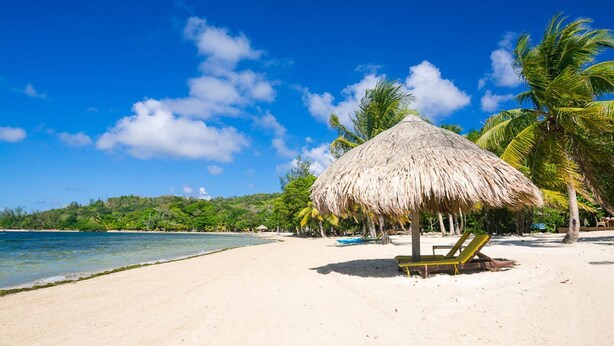 A beach with a thatched umbrella, a lounge chair, and palm trees. - Family Friendly Private Beach Resort, Pool, Dive Shop, Nature, Bar & Grill (Palmetto Bay)