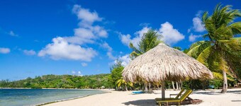 Pour toute la famille, plage privée, Piscine, Magasin de plongée, Nature, Bar & Grill