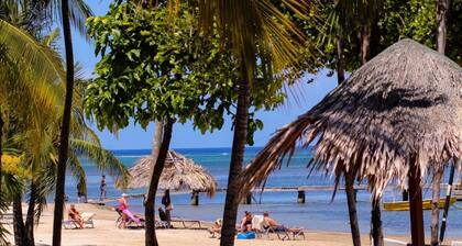 Family Friendly Private Beach Resort, Pool, Dive Shop, Nature, Bar & Grill