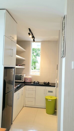 Fridge, oven, stovetop, dishwasher