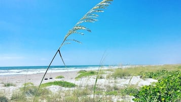 On the beach