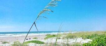 DIRECTO FRENTE AL MAR PASOS A LA PLAYA! Ocean Beach Villas Unidad 302